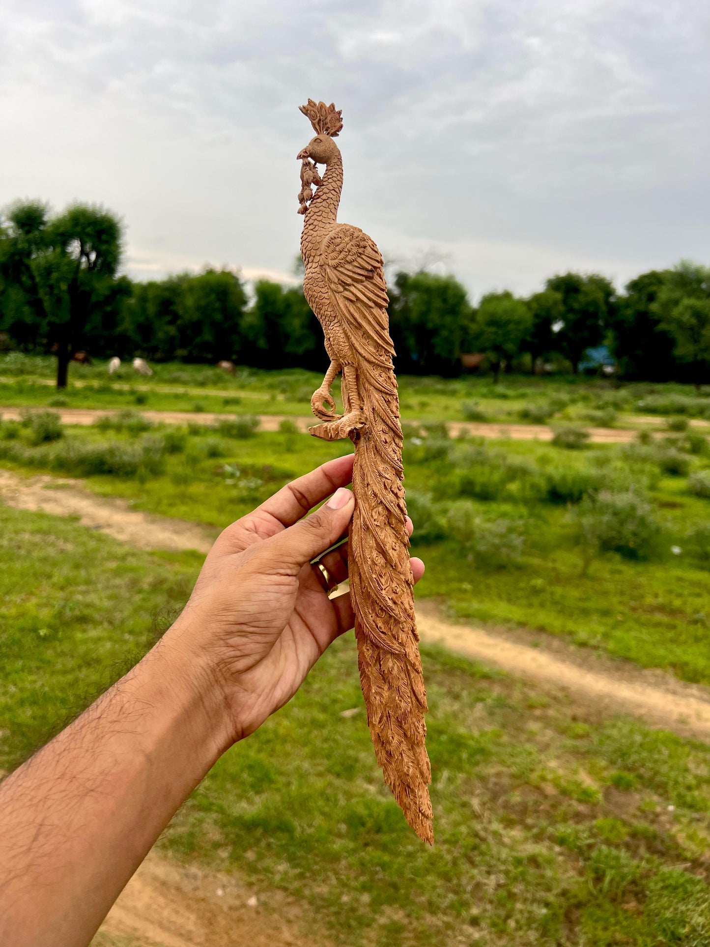 Sandalwood Hand Carved Peacock Carving - Malji Arts